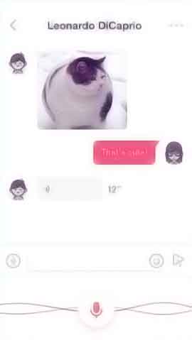 远程办公必备的在线手机号轰炸测试